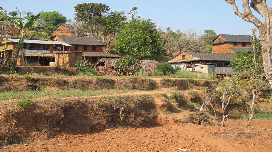 Integrated Afforestation and Reforestation